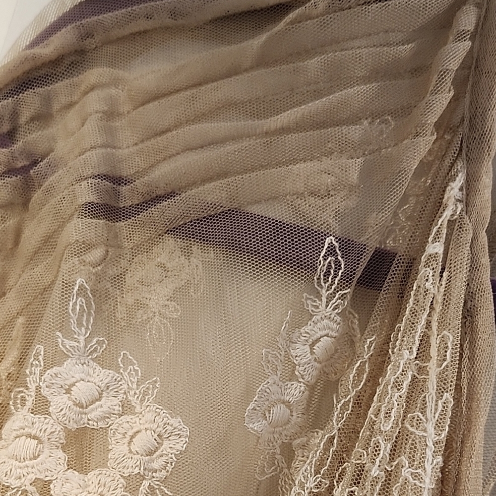 Anthropologie Sheer Lace & Sequin Beige/Taupe Blouse - Picture 4 of 7